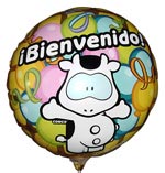 Balloons - Welcome -Balloon