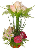 Roses - Sweet Treat Roses Bouquet