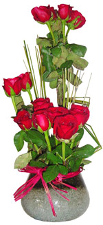 Roses - Fifteen Roses