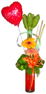 Birth - Gerberas Arrangement