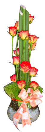 Roses - 12 Roses Arrangement