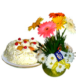 Cakes - Special Offer: Peach Cake + Spring Arregment