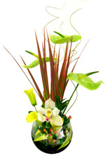 Flower Arrangements - Arrangement in fishbowl