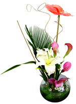 Flower Arrangements - Arrangement for every occasion