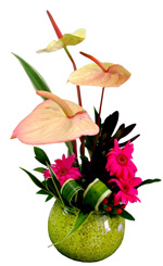 Flower Arrangements - Arrangement in fishbowl