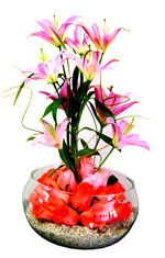 Flower Arrangements - Especial Arrangement