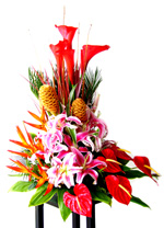 Flower Arrangements - Cartuchos Arrangement