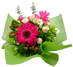Bouquets - New!! Gerberas Bouquet