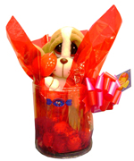 Cute Gifts - Jordano gift