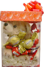 Cute Gifts - Tender soft bear