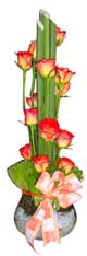 Doce Rosas