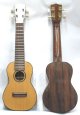Ukull Professionnel en bois de Jacaranda. Table d'harmonie en pin d'orgon