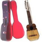 Professional Ronroco + Hardcase