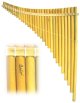 Professional Pan Flute - Gamboa