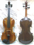 Violin Chaqueo en madera Cedro