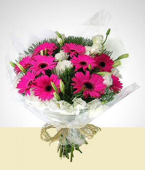 Grberas y Rosas