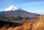 Trip "Ecuador" - 21 days and 20 nights (2 persons)