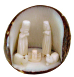 Nacimiento de Tagua Blanco