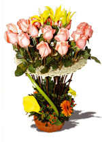 Abrazo de Rosas