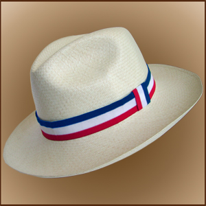 Copa do Mundo 2010 FRANA! - Chapu Panam Fedora