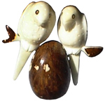 Tagua  Parrot in raw
