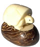 Tagua - Tortue blanche