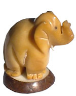 Tagua - Elephant marron