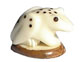 Tagua  Frog with spots