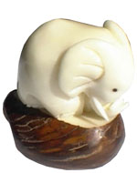 Tagua - Elephant