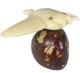 Tagua - Manta raya
