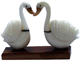 Tagua  Swans