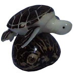 Tagua  Sea turtle