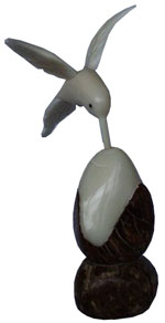 Tagua - Colibr blanco