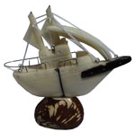 Tagua - Bateau 2