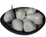 Tagua - Fruitier