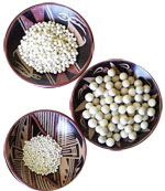 Pieces of Tagua - Pearl of 20mm