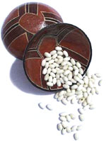 Pieces of Tagua  Olive of 7mm