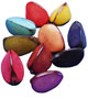 Locket of Tagua  Color triangle