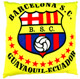 Pillow 3 - Barcelona Sporting Club