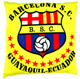 Almohada 3 - Barcelona Sporting Club