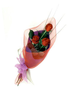 Bouquet encanto de Rosas