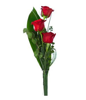 Arreglo tierno amor